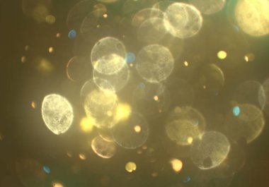pırıl pırıl bokeh daireler arka plan