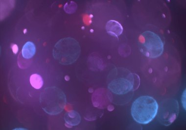 metin veya görüntü için alan ile bokeh arka plan