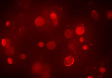 metin veya görüntü için alan ile bokeh arka plan