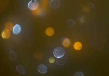 pırıl pırıl bokeh daireler arka plan