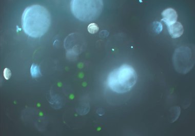 soyut renkli arkaplan, alanı kopyala