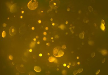 pırıl pırıl bokeh daireler arka plan