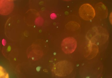 soyut ışıltılı bokeh daireler duvar kağıdı