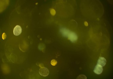 bokeh ve metin için alan ile soyut duvar kağıdı