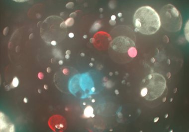 soyut ışıltılı bokeh daireler duvar kağıdı