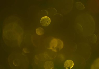 parlak bokeh ışıkları ile dijital duvar kağıdı 