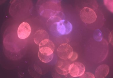 bokeh ve metin için alan ile soyut duvar kağıdı