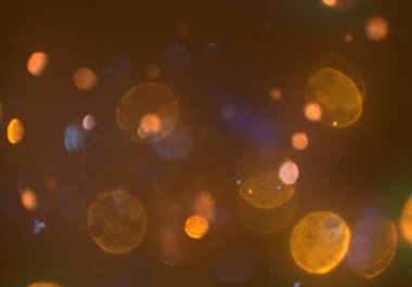 glittery bokeh daireler duvar kağıdı