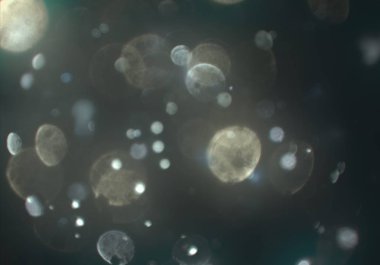 kopya alanı ile bokeh ışıkları dijital arka plan