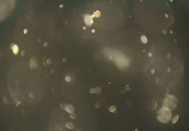 glittery bokeh daireler duvar kağıdı