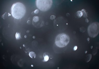 parlak bokeh ışıkları ile dijital duvar kağıdı 