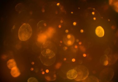 glittery bokeh daireler duvar kağıdı