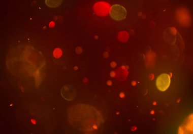 glittery bokeh daireler duvar kağıdı