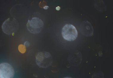 glittery bokeh daireler duvar kağıdı