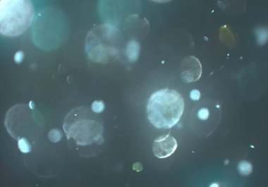 glittery bokeh daireler duvar kağıdı