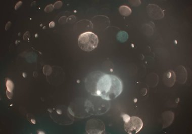 parlak bokeh ışıkları ile dijital duvar kağıdı 