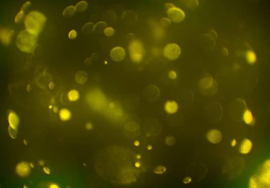 glittery bokeh daireler duvar kağıdı