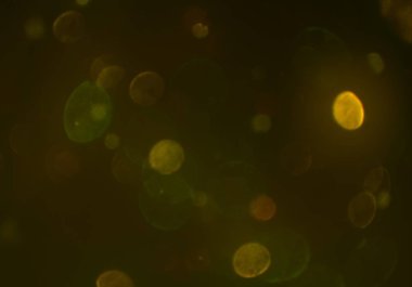 glittery bokeh daireler duvar kağıdı