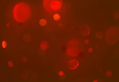 Tasarımınız için parlak bokeh arka plan