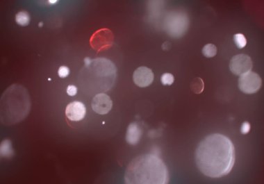 glittery bokeh daireler duvar kağıdı