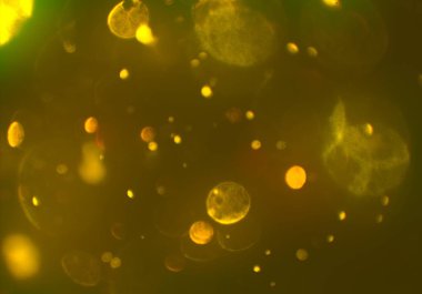 parlak bokeh ışıkları ile dijital duvar kağıdı 