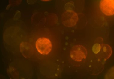 glittery bokeh daireler duvar kağıdı