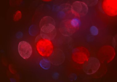 glittery bokeh daireler duvar kağıdı