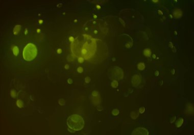 kopya alanı ile bokeh ışıkları dijital arka plan