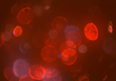 parlayan bokeh daireler ışıklar duvar kağıdı