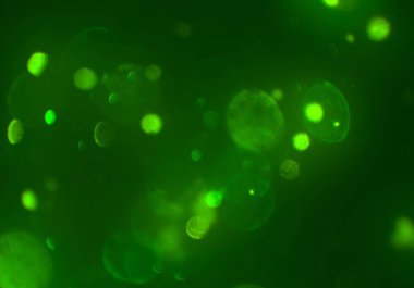 parlayan bokeh daireler ışıklar duvar kağıdı