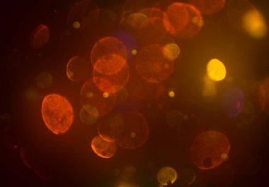 parlayan bokeh daireler ışıklar duvar kağıdı