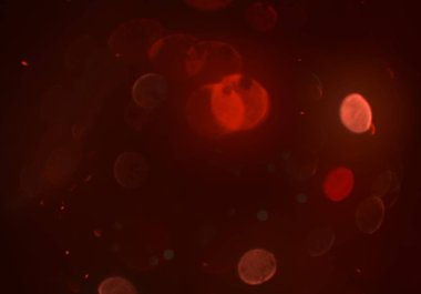 parlayan bokeh daireler ışıklar duvar kağıdı