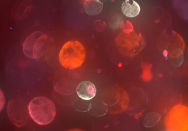 parlayan bokeh daireler ışıklar duvar kağıdı