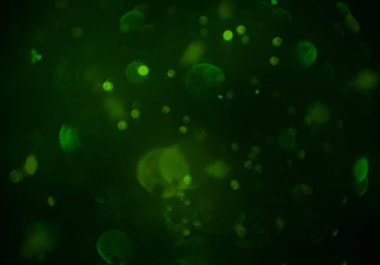 parlayan bokeh daireler ışıklar duvar kağıdı