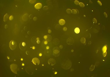 parlayan bokeh daireler ışıklar duvar kağıdı