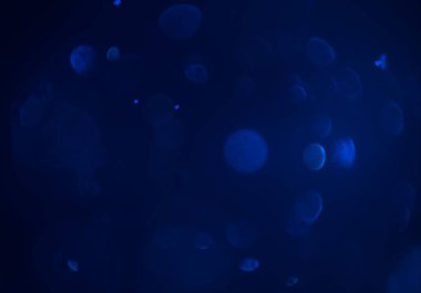 metin veya görüntü için alan ile bokeh arka plan