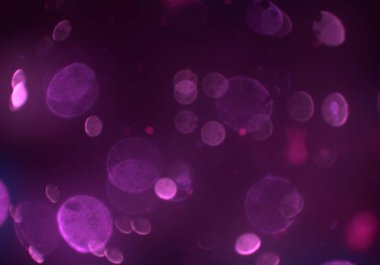 parlayan bokeh daireler ışıklar duvar kağıdı