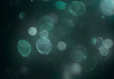 parlayan bokeh daireler ışıklar duvar kağıdı