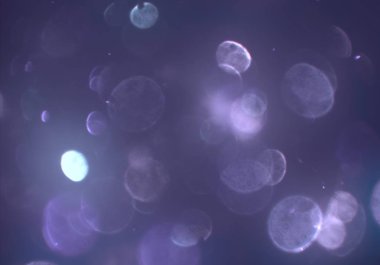 parlak bokeh ışıkları ile dijital duvar kağıdı 