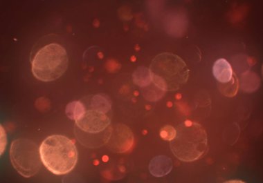 parlayan bokeh daireler ışıklar duvar kağıdı