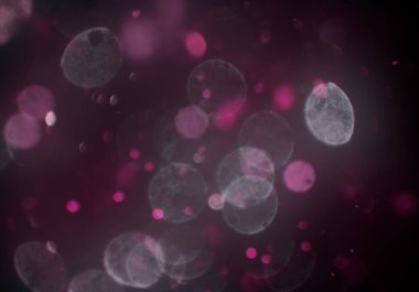 parlayan bokeh daireler ışıklar duvar kağıdı