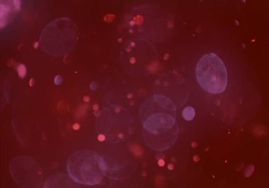 parlayan bokeh daireler ışıklar duvar kağıdı