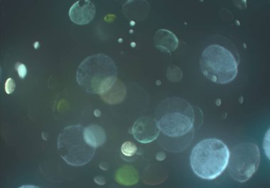 parlayan bokeh daireler ışıklar duvar kağıdı