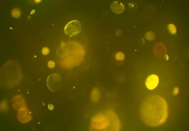 parlayan bokeh daireler ışıklar duvar kağıdı