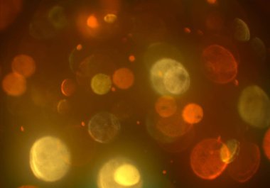 parlayan bokeh daireler ışıklar duvar kağıdı