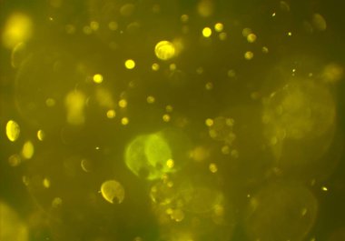 soyut renkli arkaplan, alanı kopyala