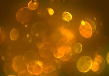 metin veya görüntü için alan ile bokeh arka plan