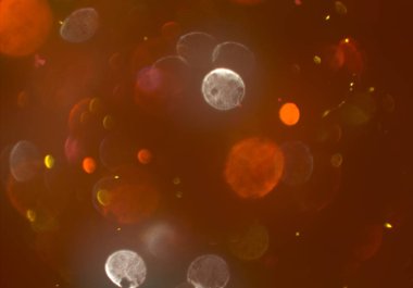 kopya alanı ile bokeh ışıkları dijital arka plan