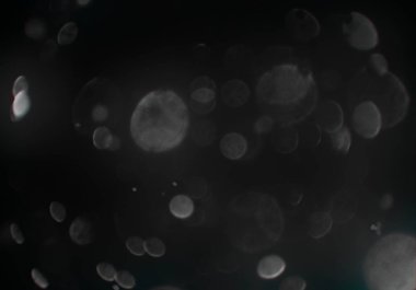 parlayan bokeh daireler ışıklar duvar kağıdı