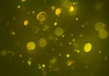 parlayan bokeh daireler ışıklar duvar kağıdı